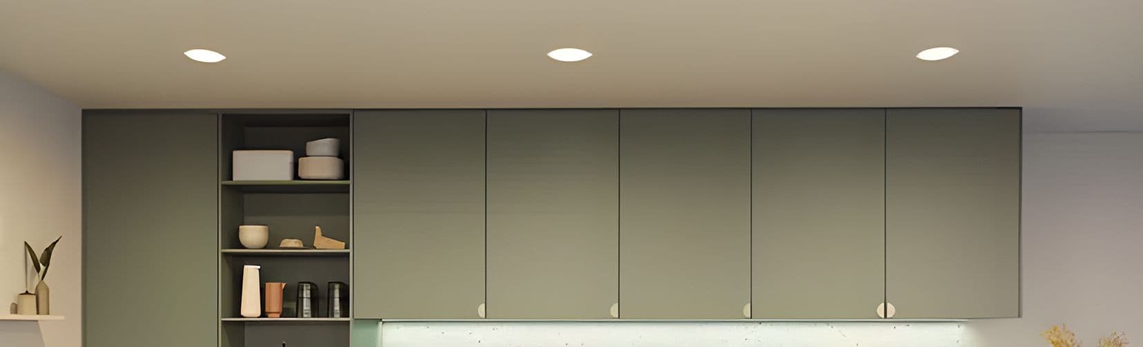 DOWNLIGHT	