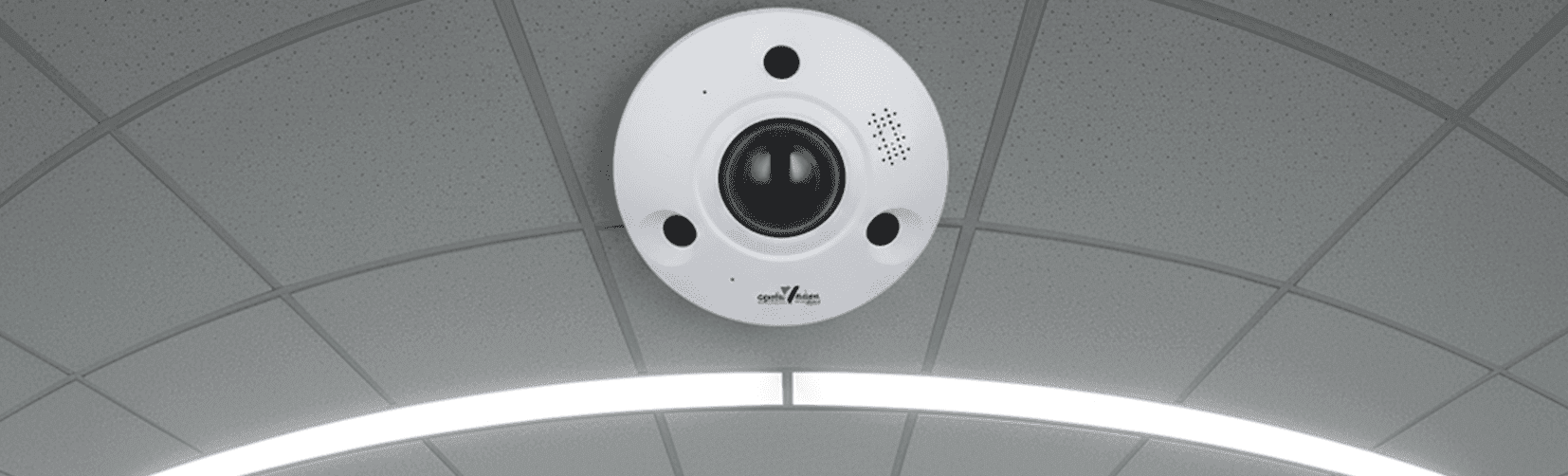Fisheye Cameras