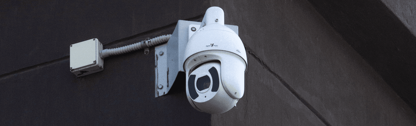 PTZ Cameras